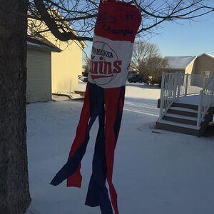 Vintage 1987 Minnesota Twins Series champion sock flag Windsock Baseball MLB 48”